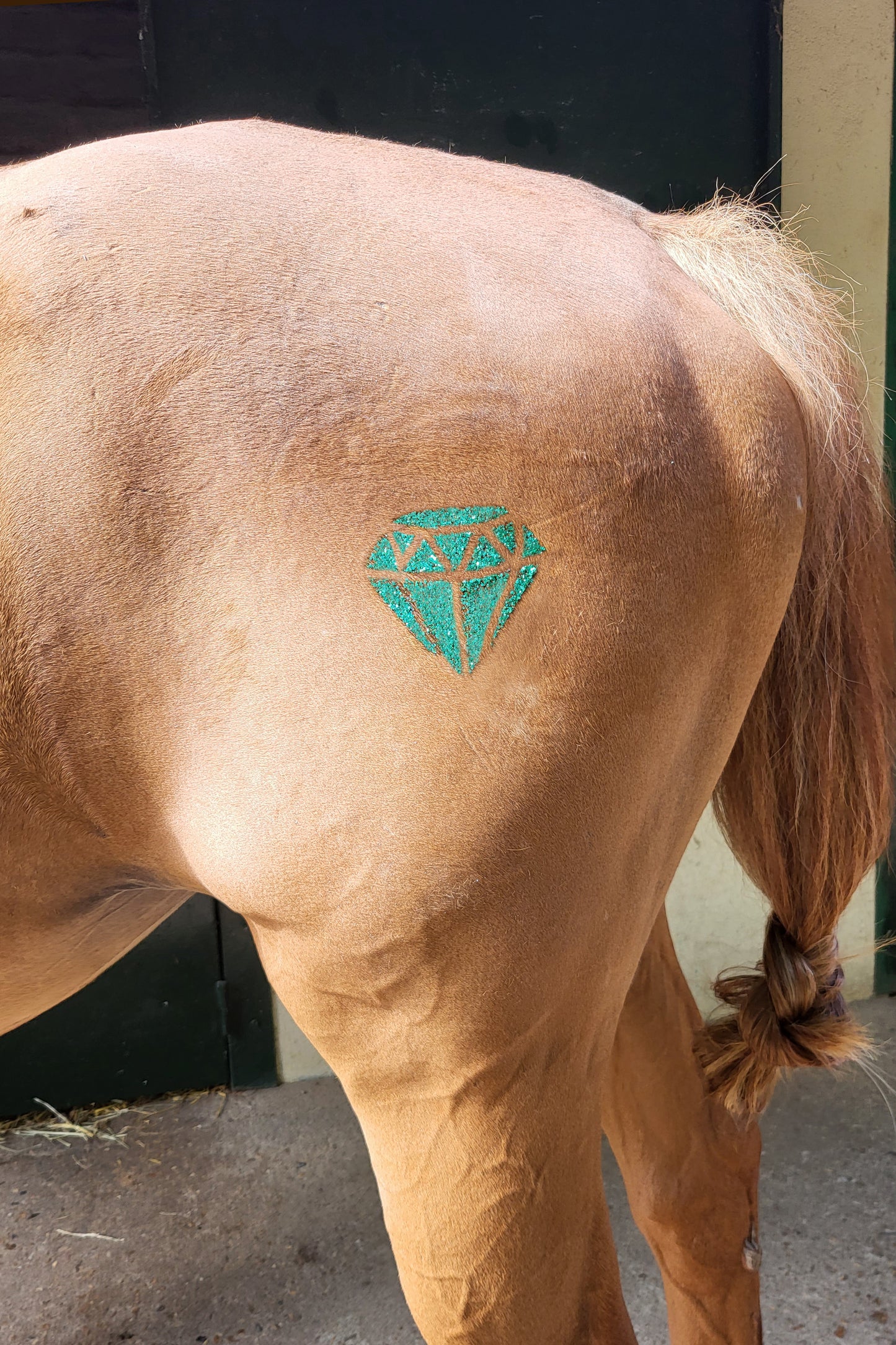 Pochoir diamant 15*21cm