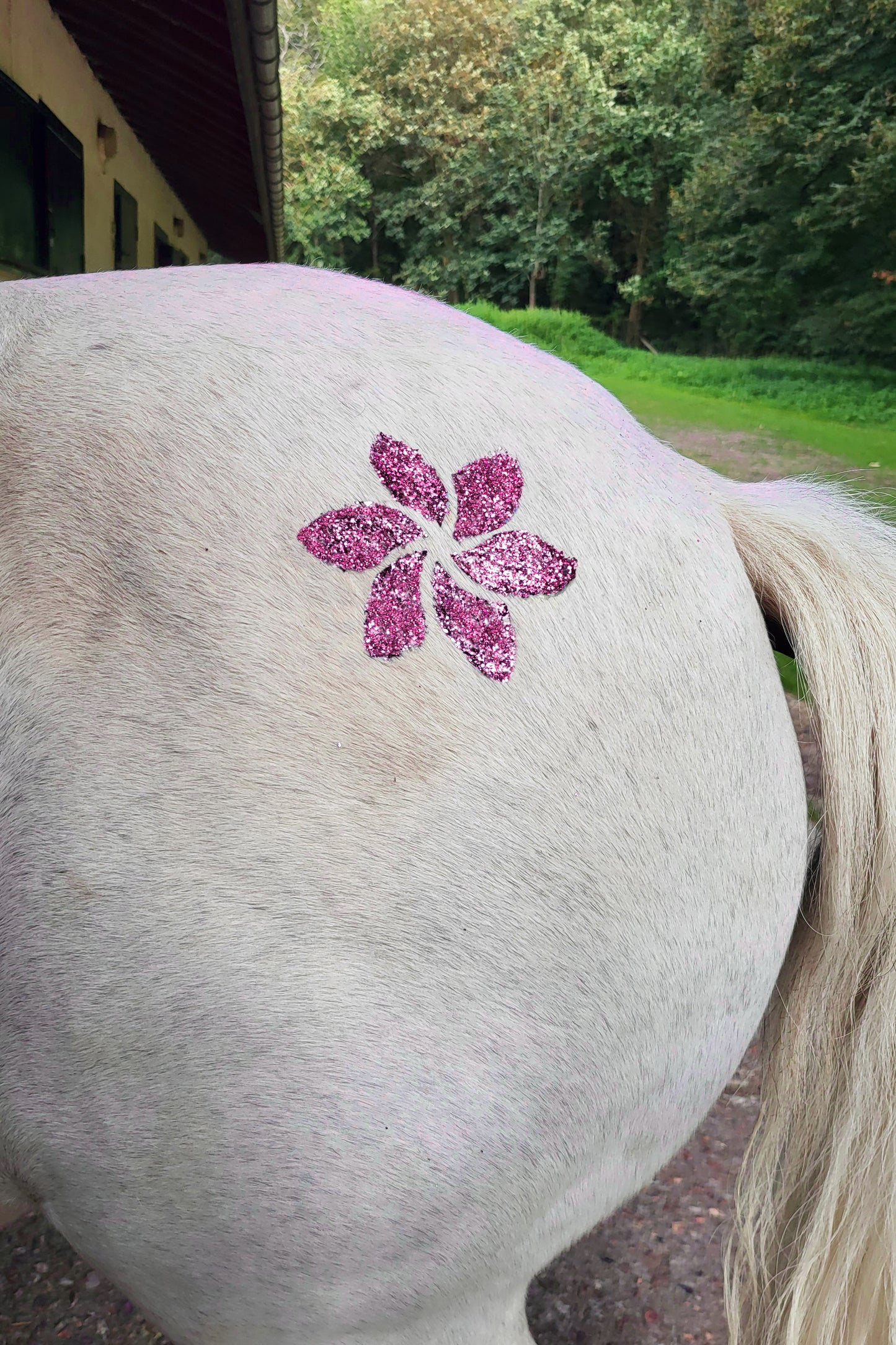 Pochoir fleur de tiaré 15*21cm