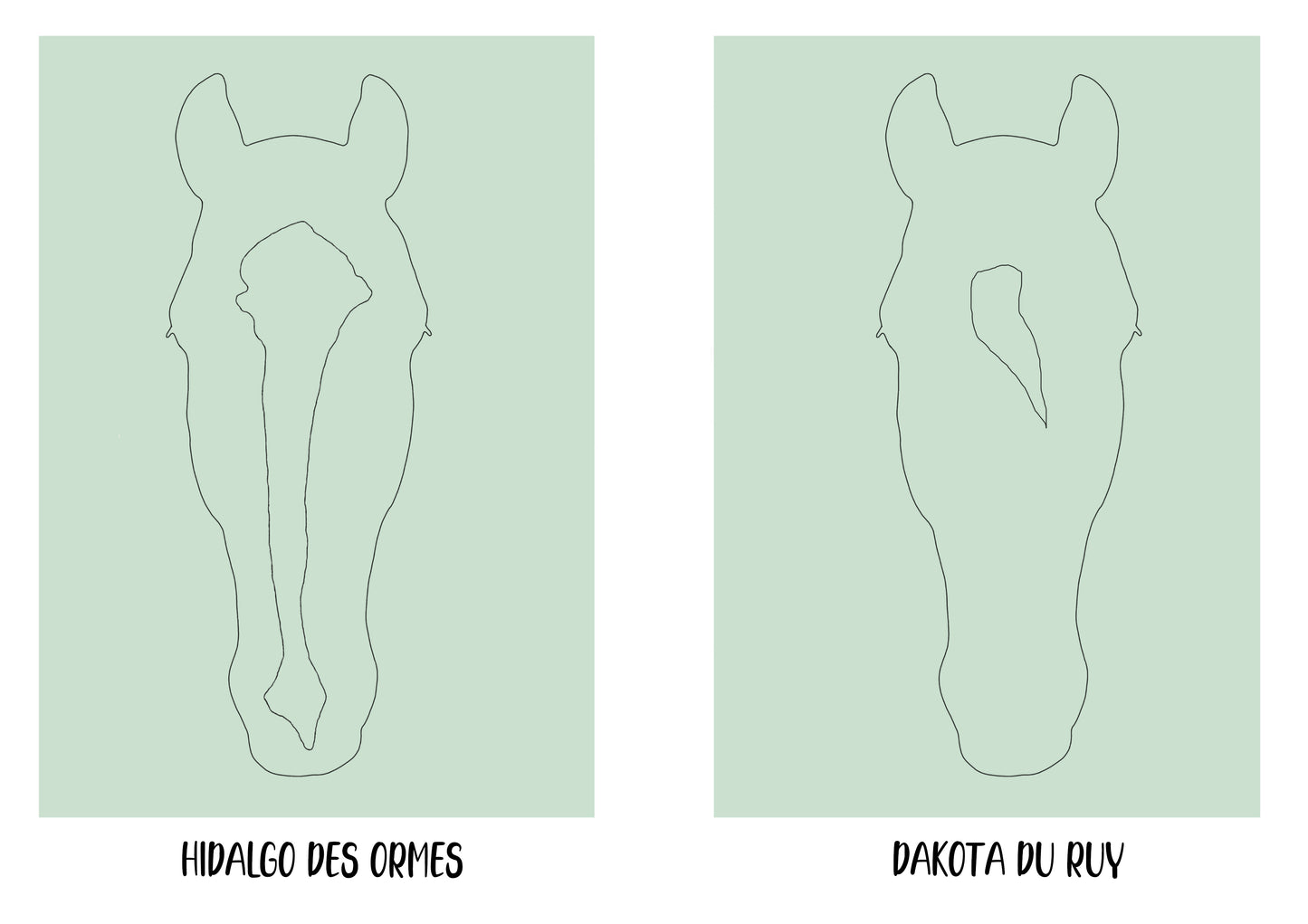 Tableau personnalisé "Artist" 2 chevaux