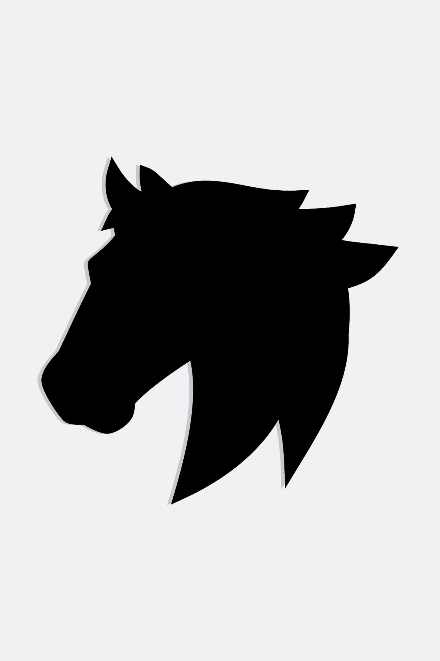 Pochoir cheval 20*30cm