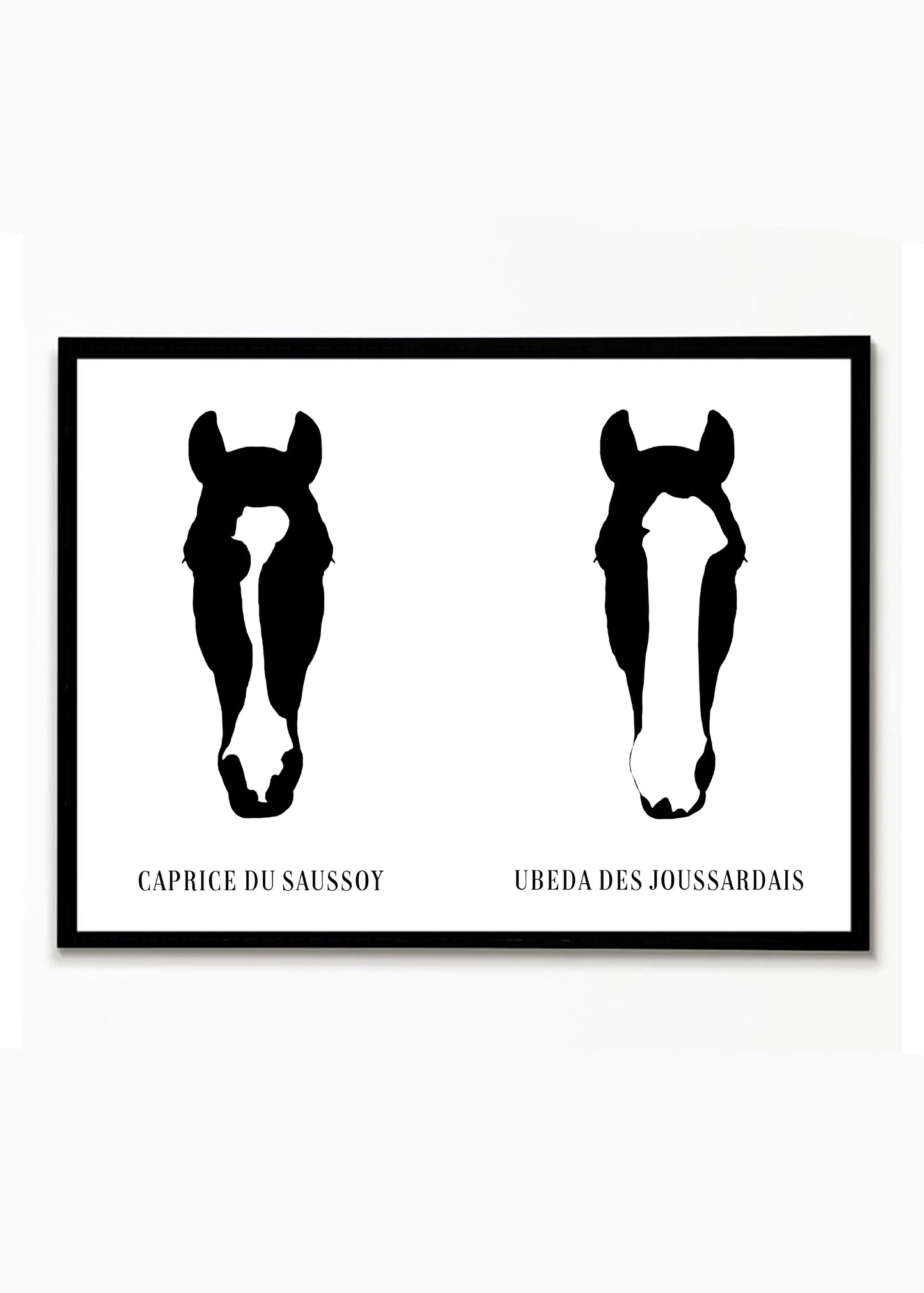 Tableau personnalisé "Black" 2 chevaux