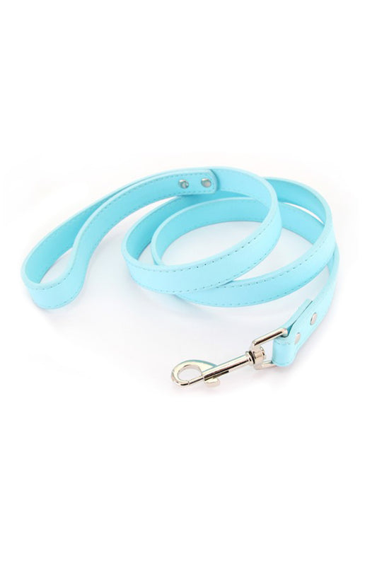 Laisse bleu ciel personnalisable