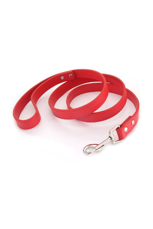 Laisse rouge personnalisable