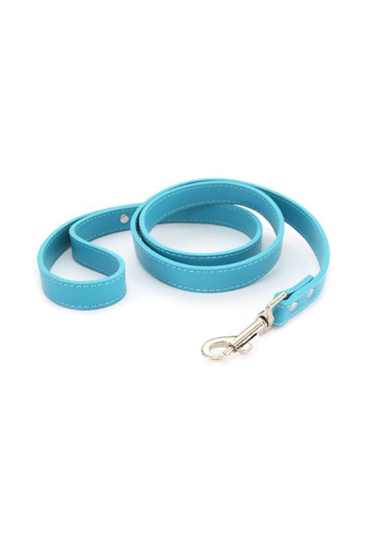 Laisse turquoise personnalisable