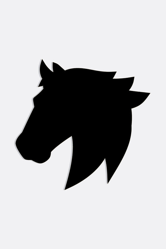Pochoir cheval 20*30cm